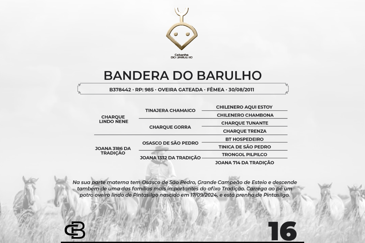 Geração BANDERA DO BARULHO