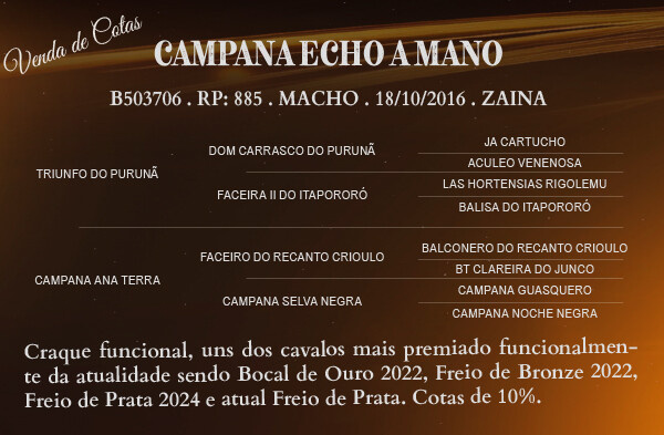 Geração COTA DE 10% DE CAMPANA ECHO A MANO