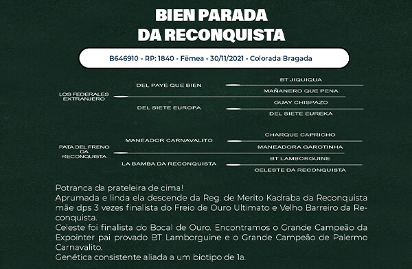 Geração BEIN PARADA DA RECONQUISTA