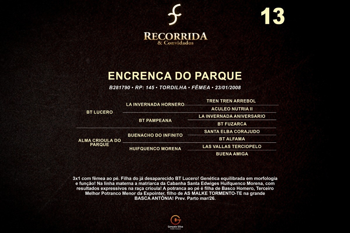 Geração ENCRENCA DO PARQUE