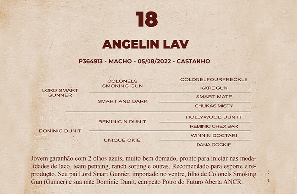 Geração ANGELIN LAV 