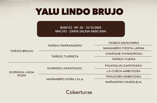 Geração COBERTURA YALU LINDO BRUJO