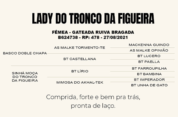 Geração LADY DO TRONCO DA FIGUEIRA 