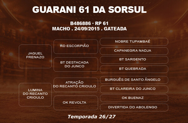 Geração COBERTURA GUARANI 61 DA SORSUL