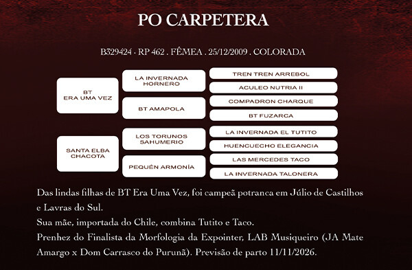 Geração PO CARPETERA