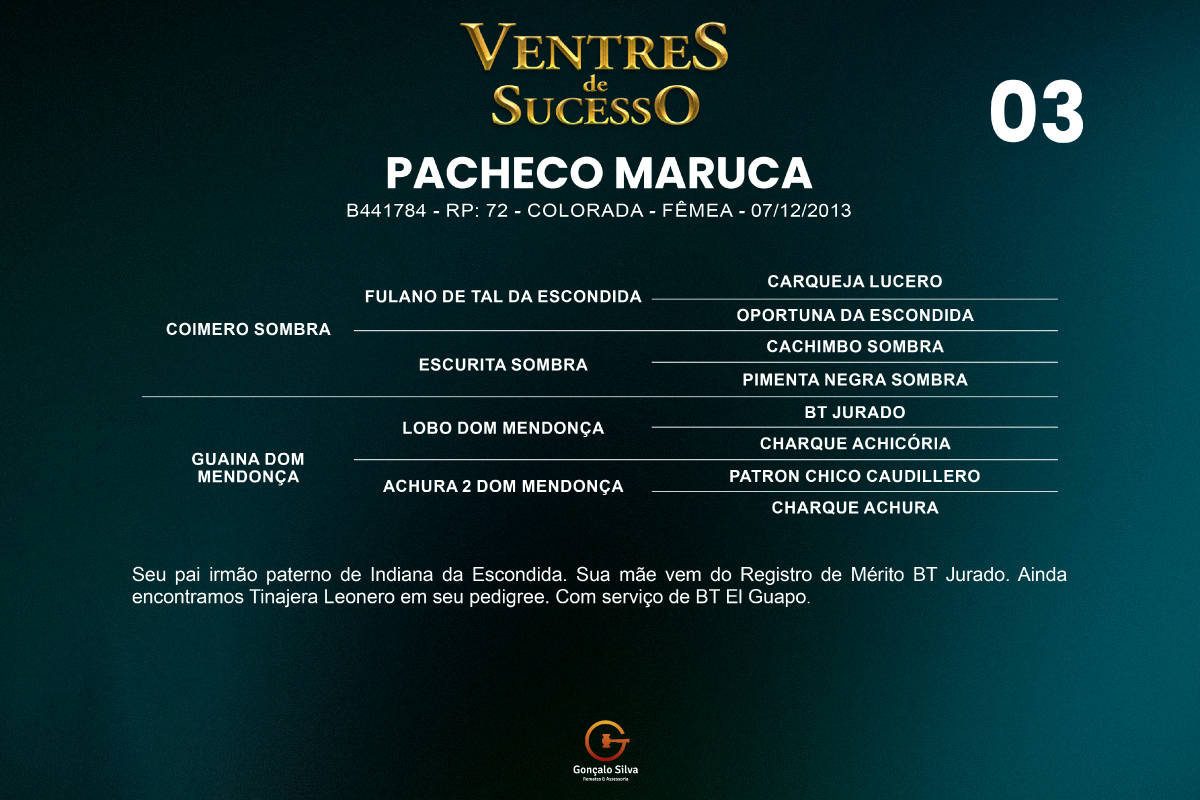 Geração PACHECO MARUCA