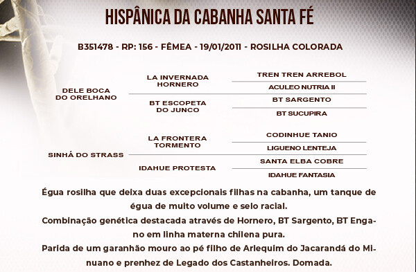 Geração HISPÂNICA DA CABANHA SANTA FÉ