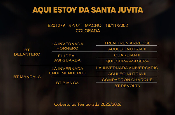 Geração AQUI ESTOY DE SANTA JOVITA