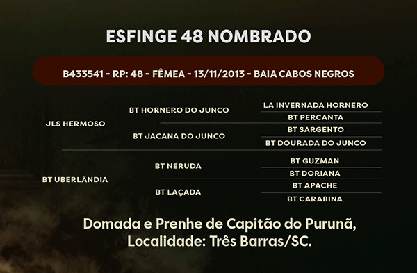 Geração ESFINGE 48 NOMBRADO