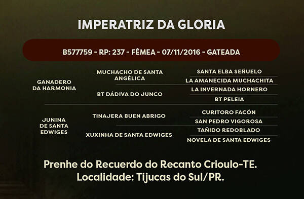 Geração  IMPERATRIZ DA GLORIA