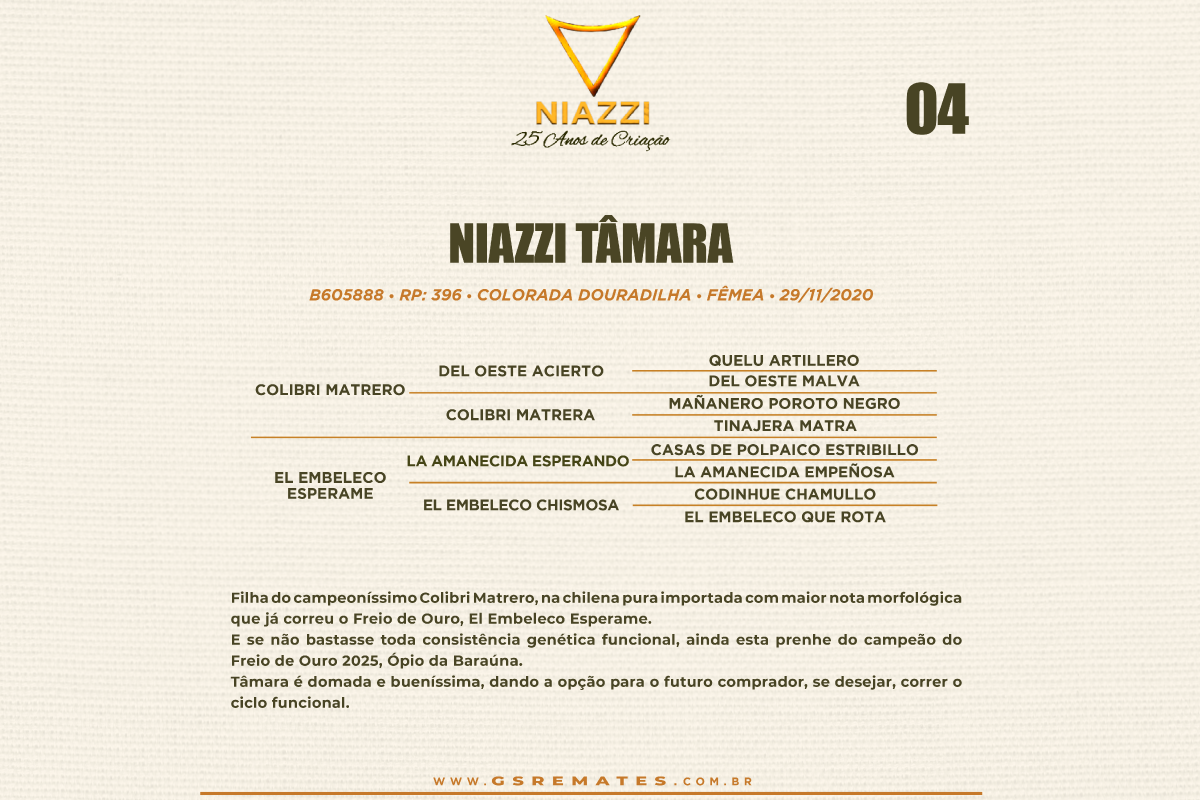 Geração NIAZZI TÂMARA