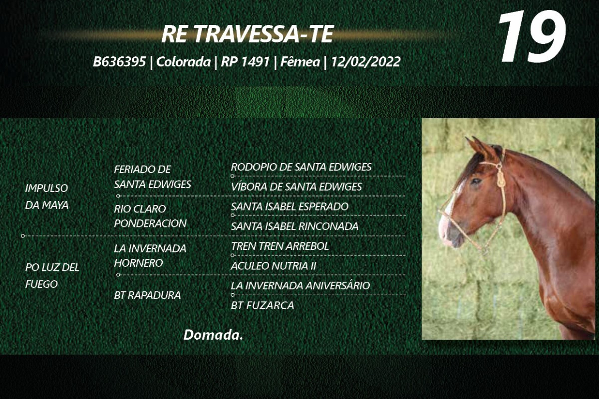 Geração RE TRAVESSA-TE