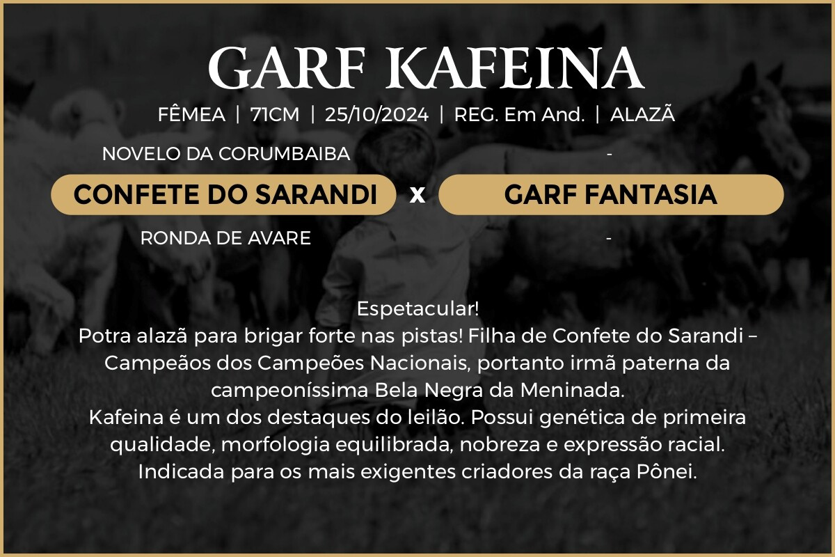 Geração GARF KAFEINA 