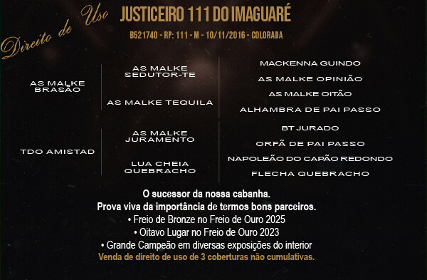 Geração DIREITO DE USO JUSTICEIRO 111 DO IMAGUARE