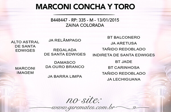 Geração MARCONI CONCHA Y TORO
