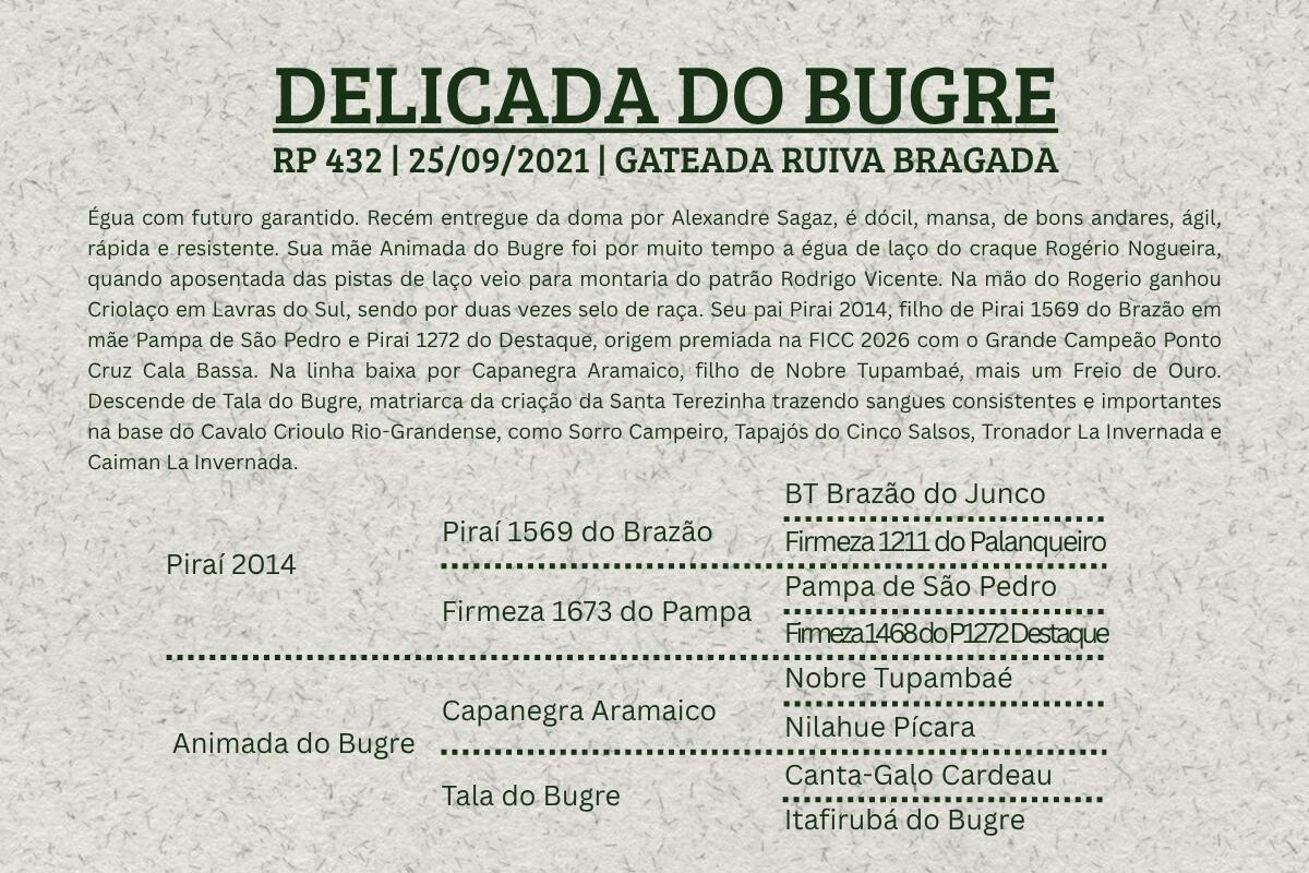 Geração DELICADA DO BUGRE