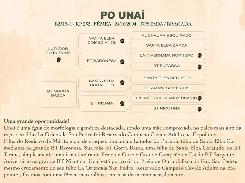 Geração PO UNAÍ