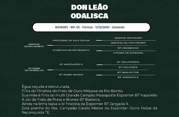 Geração DON LEÃO ODALSICA