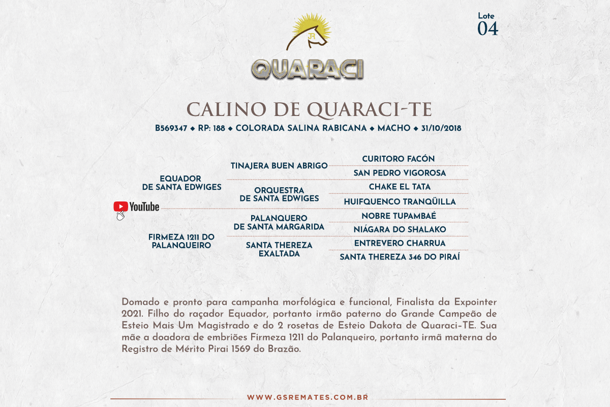 Geração CALINO DE QUARACI