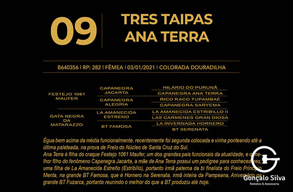 Geração TRÊS TAIPAS ANA TERRA