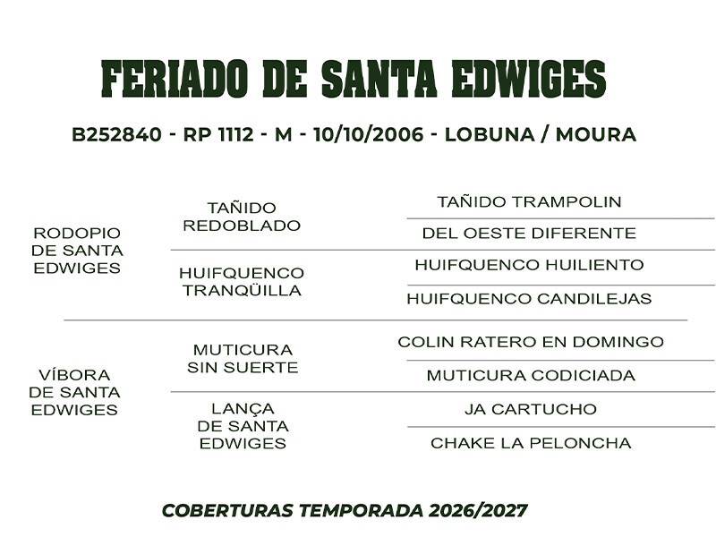 Geração COBERTURA FERIADO DE SANTA EDWIGES 