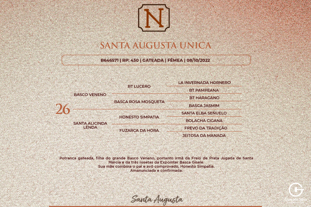 Geração SANTA AUGUSTA ÚNICA
