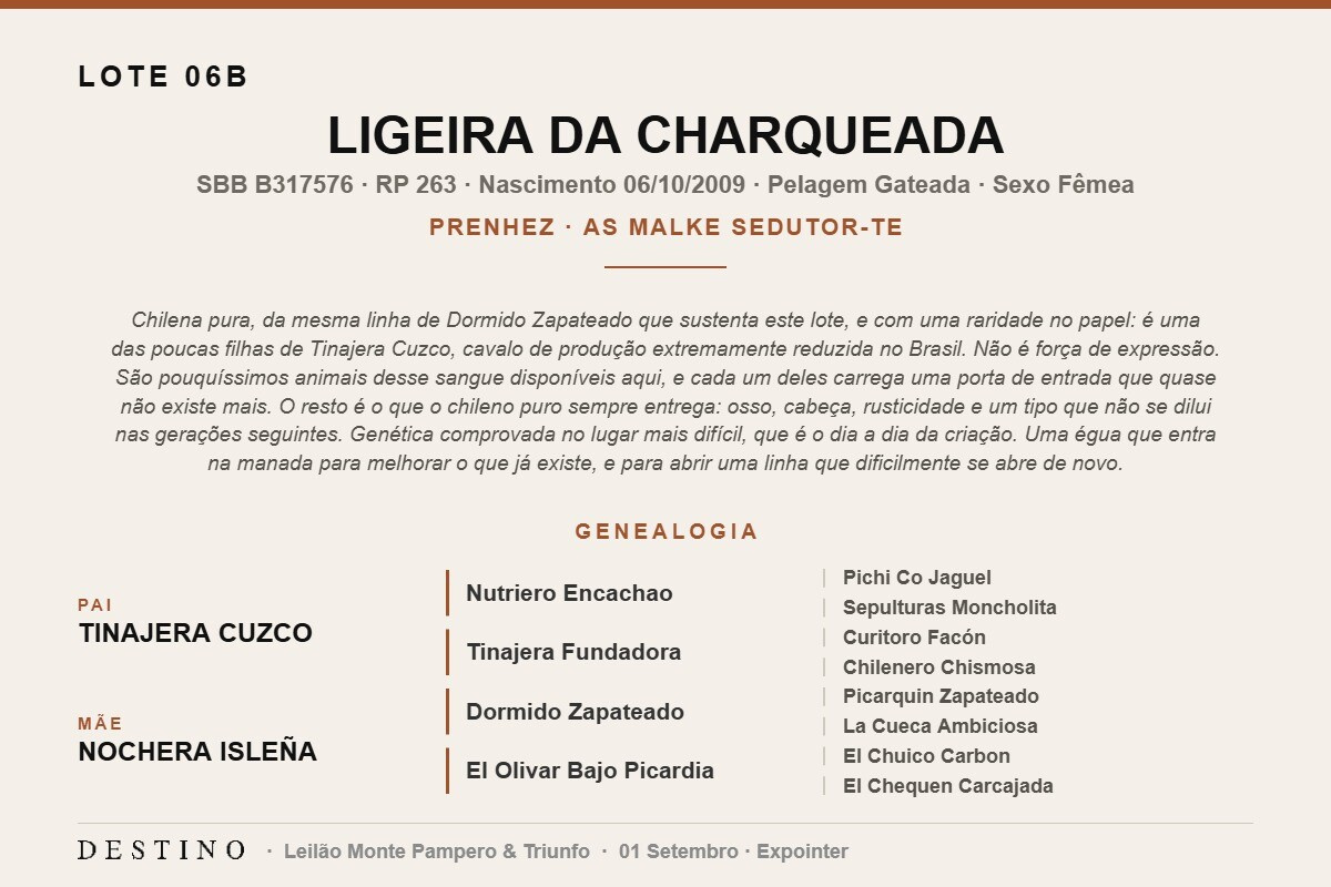 Geração LIGEIRA DA CHARQUEADA - (Venda vertical)