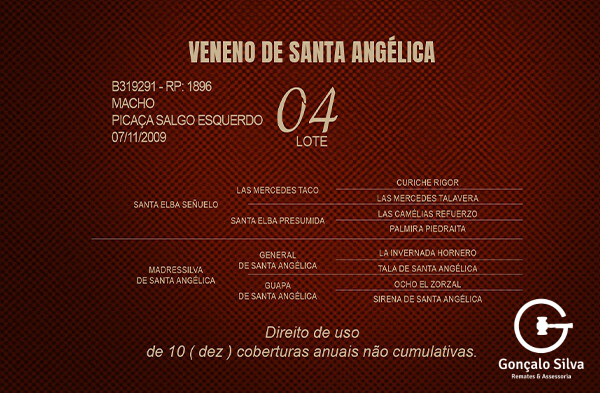 Geração VENENO DE SANTA ANGÉLICA - DIREITO DE USO 