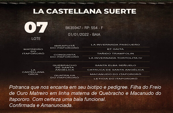 Geração LA CASTELLANA SUERTE