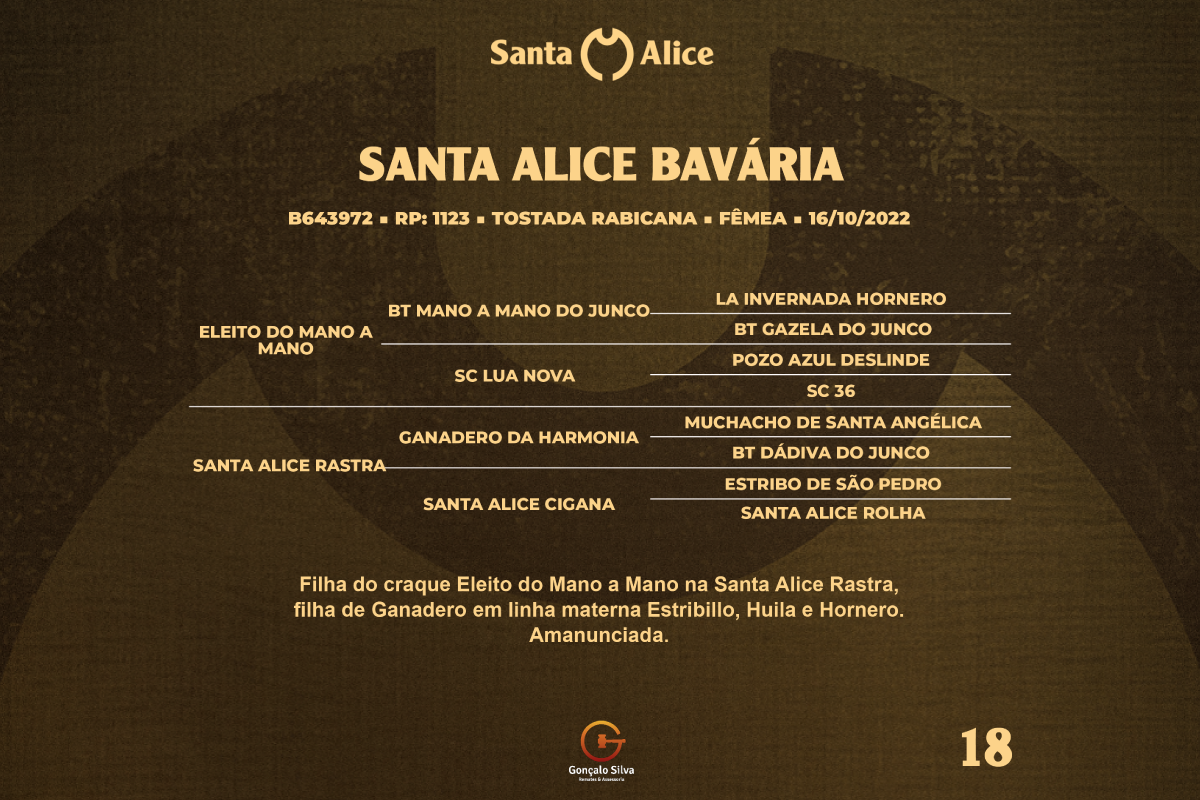 Geração SANTA ALICE BAVARIA 
