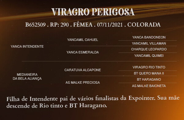 Geração VIRAGRO PERIGOSA 