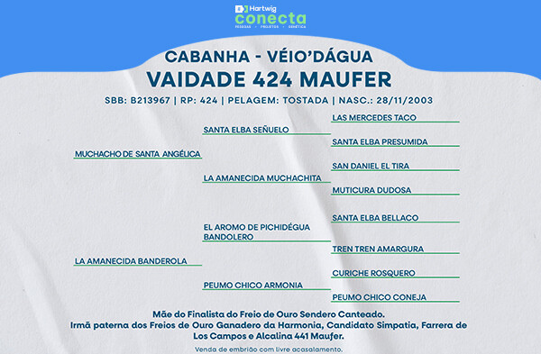 Geração VAIDADE 424 MAUFER