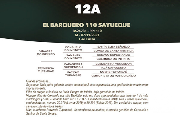 Geração EL BARQUERO 110 SAYUEQUE