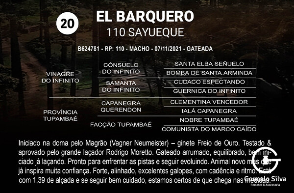 Geração EL BARQUERO 110 SAYUEQUE