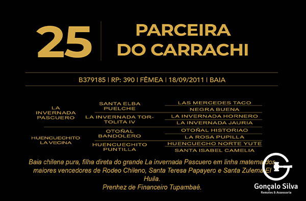 Geração PARCEIRA DO CARRACHI