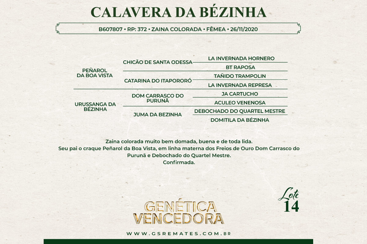 Geração CAVALERA DA BÉZINHA