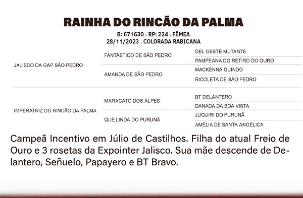 Geração RAINHA DO RINÇÃO DA PALMA