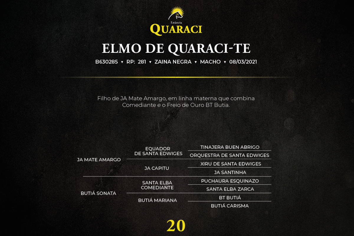 Geração ELMO DE QUARACI-TE