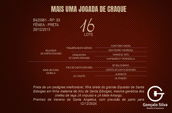 Geração MAIS UMA JOGADA DE CRAQUE 