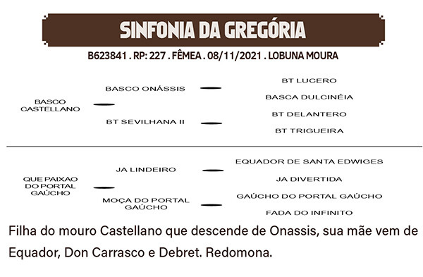 Geração SINFONIA DA GREGORIA