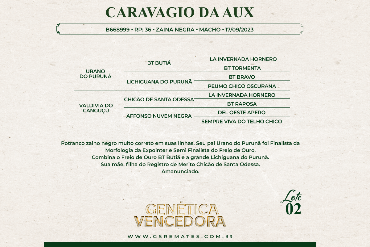 Geração CARAVAGIO DA AUX