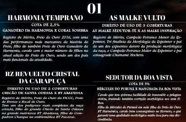 Geração DIREITO DE USO DE 3 COBERTURAS AS MALKE VULTO OU COTA DE 2,5% HARMONIA TEMPRANO OU DIREITO DE USO DE 2 COBERTURAS RZ REVUELTO CRISTAL DA CARAPUÇA OU COTA DE 5% SEDUTOR DA BOA VISTA 