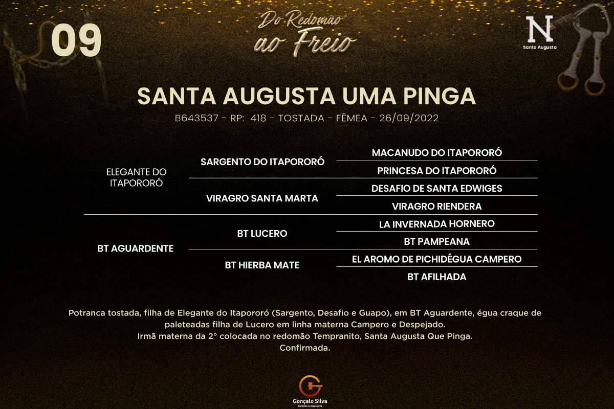 Geração SANTA AUGUSTA UMA PINGA