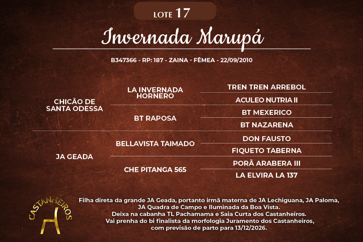 Geração INVERNADA MARUPÁ