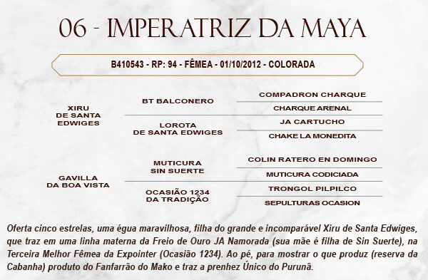 Geração IMPERATRIZ DA MAYA 