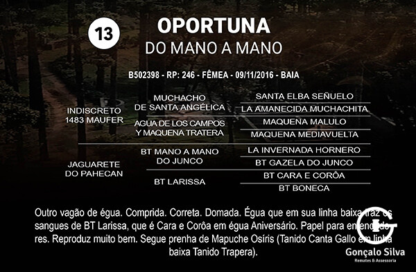 Geração OPORTUNA DO MANO A MANO