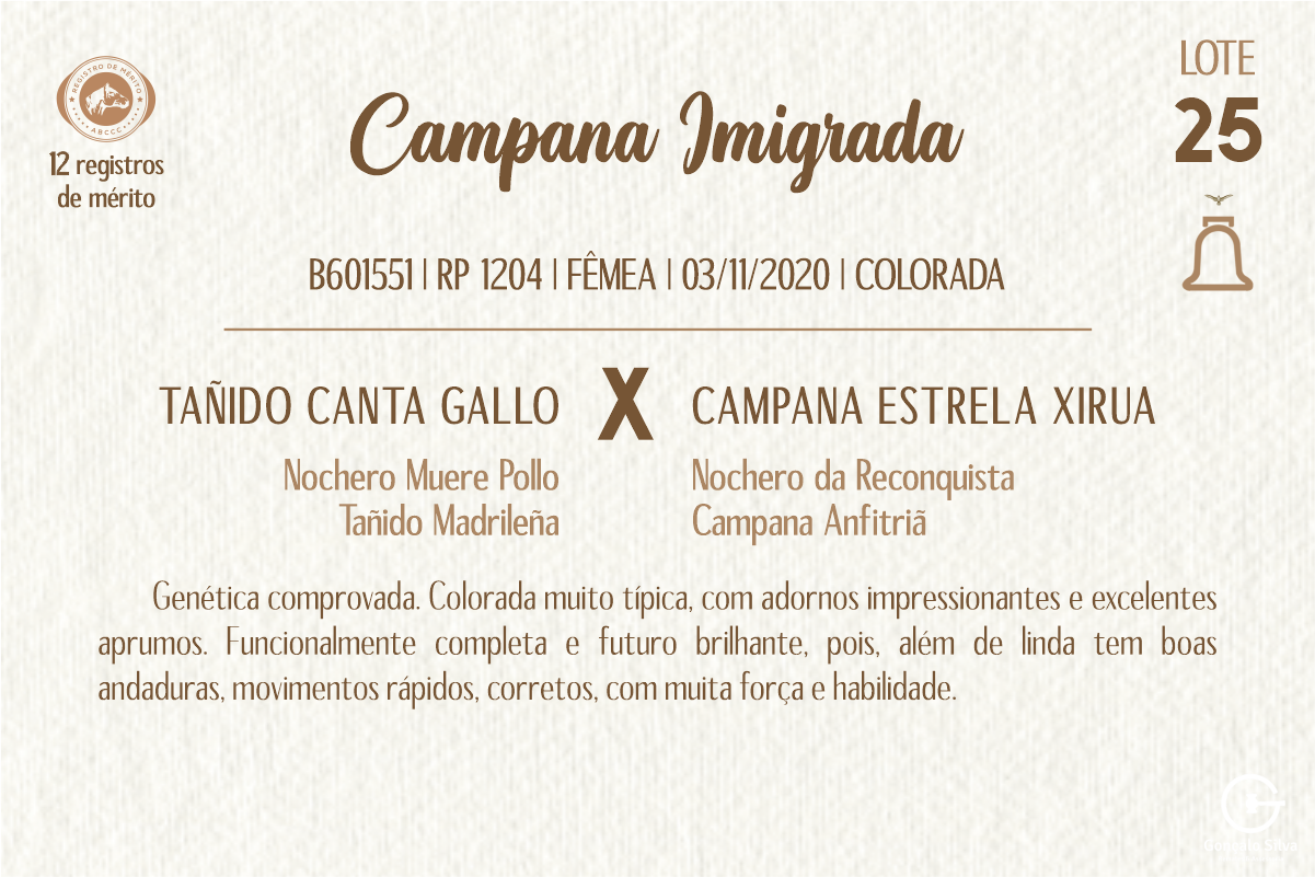 Geração CAMPANA IMIGRADA