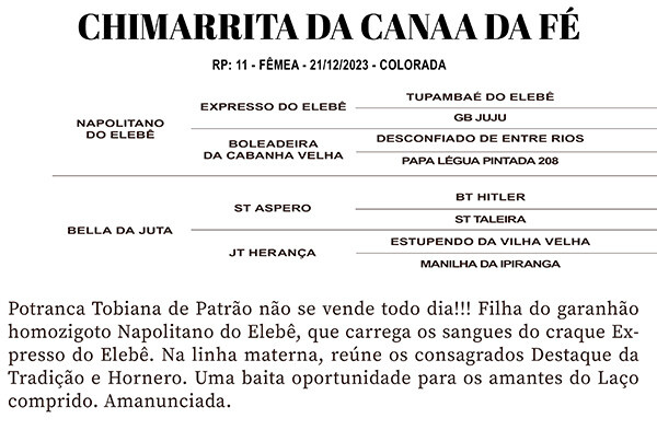Geração CHIMARRITA DA CANAÃ DA FÉ