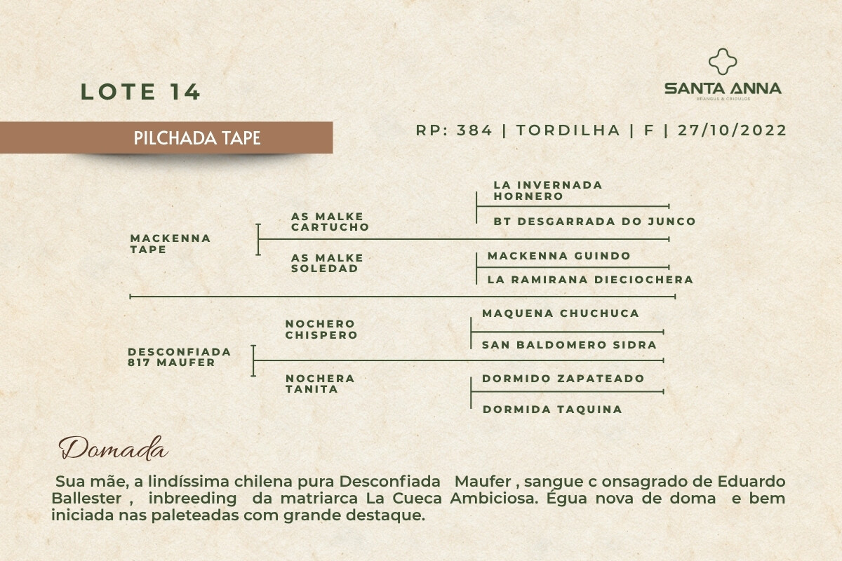 Geração  PILCHADA TAPE
