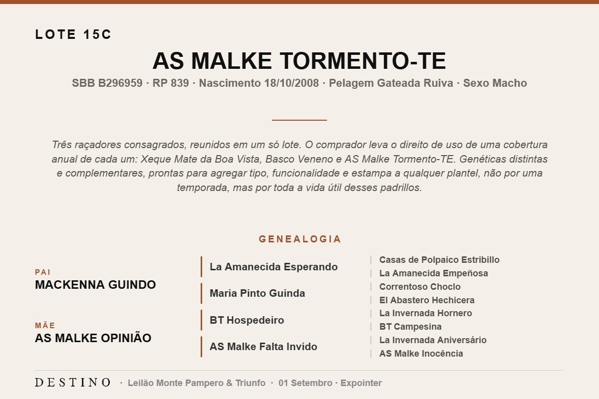 Geração AS MALKE TORMENTO-TE - (Venda vertical direito de uso)
